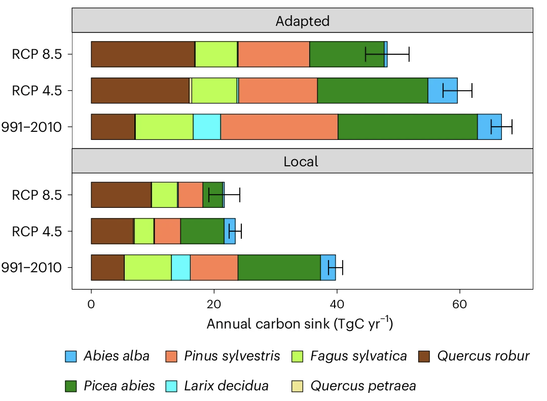 Assisted Tree Migration Can Preserve the European Forest Carbon Sink Under Climate Change